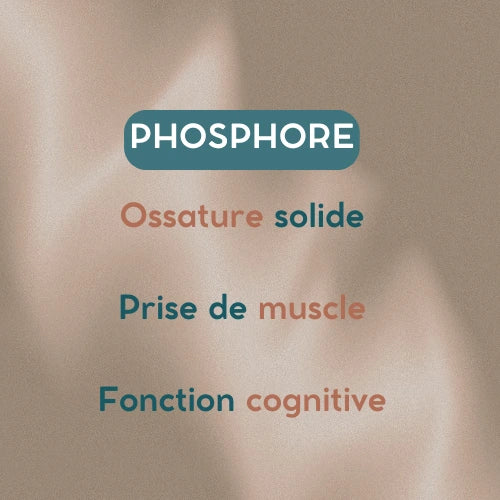 phosphore pollen de pin
